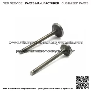 HONDA XR75 XL75 XR80 XR80R XR100R SHIN NIPPON INTAKE & EXHAUST VALVE SET NEW