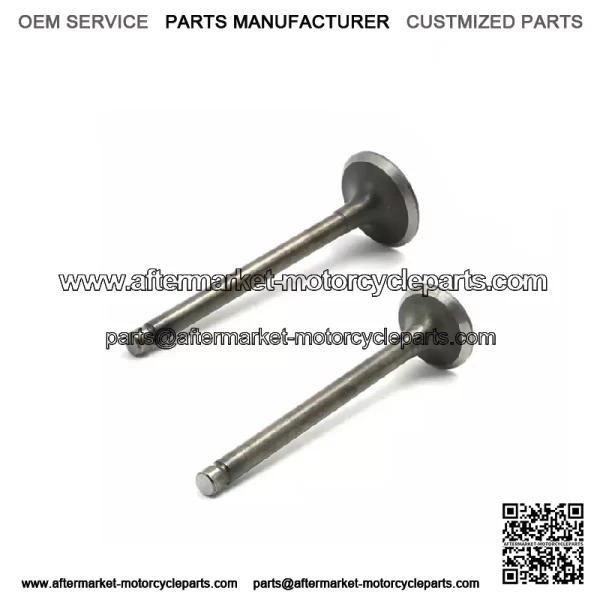 HONDA XR75 XL75 XR80 XR80R XR100R SHIN NIPPON INTAKE & EXHAUST VALVE SET NEW