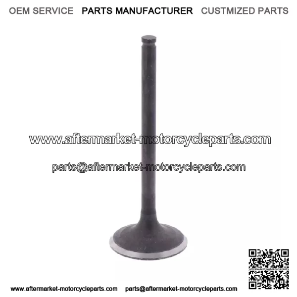 Kawasaki 2008-2017 Klx450r Exhaust Valve OEM New 12005-0044