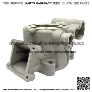 KAWASAKI ENGINE CYLINDER 11005-0626 11005-0758 fit 2014 - 2021 KX100