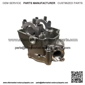 HONDA OEM CYLINDER HEAD 04-07 CRF250R CRF250 CRF250X 12010-KRN-A00 New