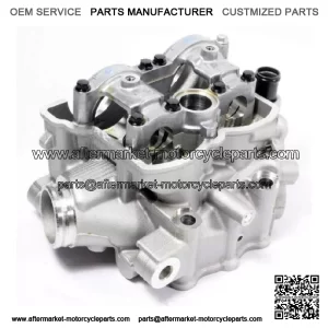 Kawasaki 2009-2010 KX250F Cylinder Head New 11008-0191