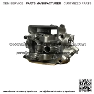 HONDA OEM NEW CYLINDER HEAD 2010-2011 CRF250R 12010-KRN-A40