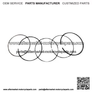 Standard Piston Rings Kit Set ATC ES TRX 250 300 FW X Honda