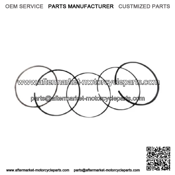 Standard Piston Rings Kit Set ATC ES TRX 250 300 FW X Honda