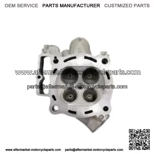 HONDA OEM CYLINDER HEAD 2019-22 CRF450R/RS 2019-20 CRF450RX New 12010-MKE-A70