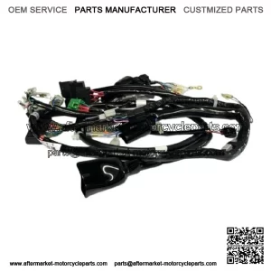 HONDA WIRING WIRE HARNESS 2006 - 2023 RUCKUS NPS50 New 32100-GEZ-610