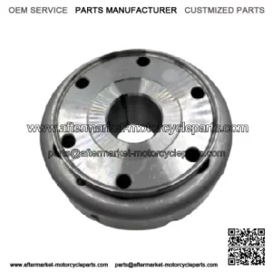 YAMAHA OEM Rotor assy 6S5-81450-01-00
