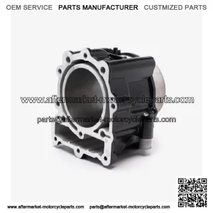 Cylinder or X650-2C-E5 or oncin X650-2C,Voge 50DSX uro  X650-2C-E5 EW